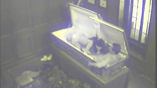 Insane black-haired was caught deep throating a rock stiff fuck-stick and having fuckfest in the coffin