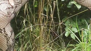 Urinating in public 13