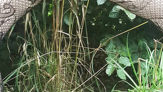 Urinating in public 13