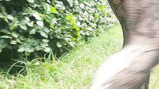 Urinating in public 13