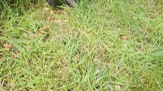 Urinating in public 14