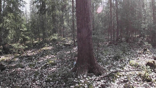 Nymph Deep Throating Schlong Stranger and had Anal Invasion Hump until Internal Cumshot in the Woods