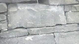 Urinating in public 17