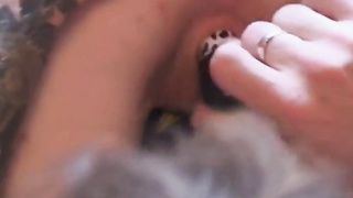 Idolized ginger-haired cynthia gets penetrated rigid