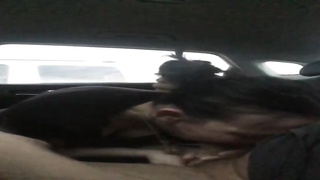 First-Timer biotch is getting a hard-on down her hatch before having hook-up from the back