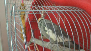 Sizzling perfection helen b fumbles hallway