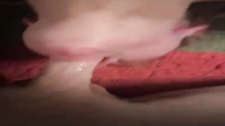 Unexperienced honey got a rock stiff man sausage down her facehole and enjoyed how it sensed