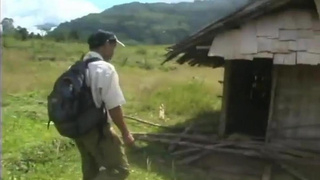 Hmong pornography ten