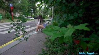 PublicAgent.22.06.01.Mina.Von.D.HARDCORE.480p.MP4-GONZO - Tru Kait