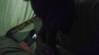 Ebony honey is mildly caressing and fellating her paramour's man rod, in the middle of the night