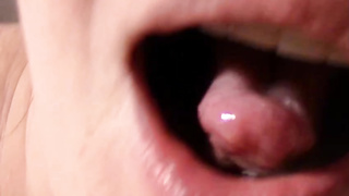 Inexperienced nymphs are blowing rock rigid spears and getting cum-shots gay-for-pay into their messy gullets