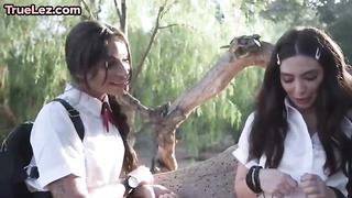 Exhilarated school nymphs are making love with each other and yelling, because it perceives so superb