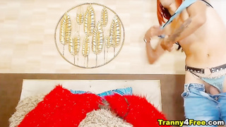 Lovely Tranny Faps Her Dick Wildly