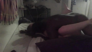 Insatiable, black fellow is penetrating a promiscuous light-haired gal from behind to make her jizm