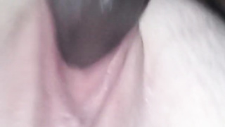 Close Up Screw and Bust