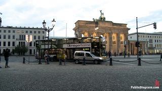 European honey gets porked in the woods