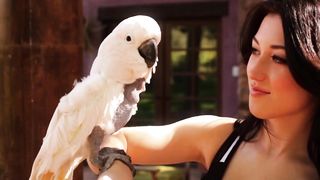 Playboy: Innate jugged cutie Stefanie Knight