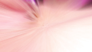 AnalTrixxx - Holly Hendrix Spread Out By Big Manstick