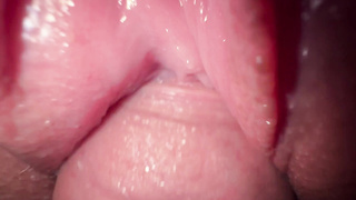 I torn up my teenage sister in law, outstanding white-hot cooter, burst and close up jizz flow