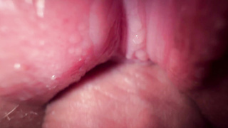 I torn up my teenage sister in law, outstanding white-hot cooter, burst and close up jizz flow