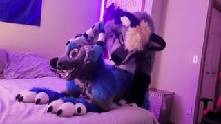 Gamer Hairy Gets Inhaled Off & smashes Super-Cute Cub Lady In Come Back