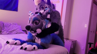 Gamer Hairy Gets Inhaled Off & smashes Super-Cute Cub Lady In Come Back