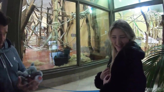 Insane matures are tugging in front of the camera with romp playthings and groaning while nutting