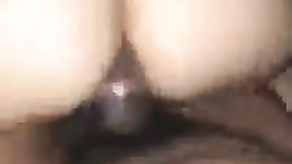 Black dancer boinks multiracial wifey