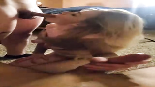 Swingers From Tinder Needed A third Porno Flicks - Tube8