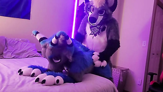 Even however they got clad up for a mask soiree, inexperienced duo determined to drill first-ever