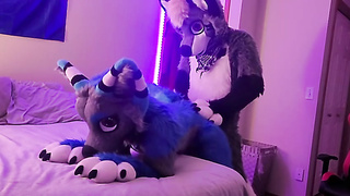 Even however they got clad up for a mask soiree, inexperienced duo determined to drill first-ever