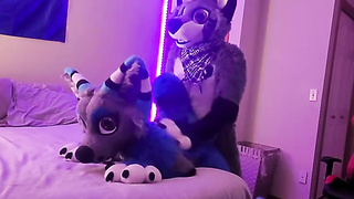 Even however they got clad up for a mask soiree, inexperienced duo determined to drill first-ever