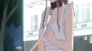 Maid In Apron Abjected And Ambled With A Leash