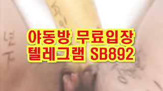 트위터 밍키 보지에 페트병 넣고 바나나 넣고 ㅋㅋㅋ 풀버전 텔레그램 SB892 온리팬스 트위터 한국 최신 성인방 야동방 빨간방 Korea
