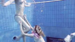 See Magnificent Lesbos or Not They Are Sizzling as Ravage and other porno flicks on 4tube.com. Mobile and HD Fuck-Fest Flicks FREE-FOR-ALL