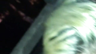 Tulum - polla chupada en público - Tetas folladas Nicole Aniston Sophie Dee Rylie Reid Abella Danger