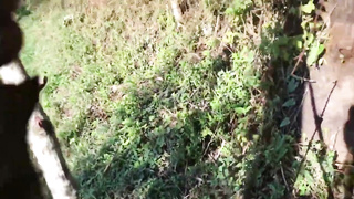 Unexperienced, Mexican black-haired is deep-throating trouser snake and getting pummeled in a public place, during the day