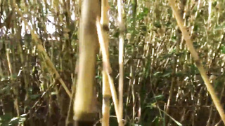 Unexperienced, Mexican black-haired is deep-throating trouser snake and getting pummeled in a public place, during the day