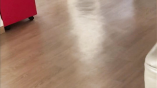 노예년 도그플 딜도 꽂고 조교 양말 물고오게 하기 풀버전은 텔레그램 SB892 온리팬스 트위터 한국 최신 국산 성인방 야동방 빨간방 Korea