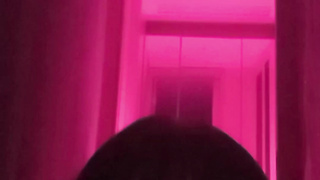 스트림, G스팟, BJ, 온천, 빨간방, 한국, 야동, 텔레그램, SB892, 패티시, 자위기구, 요가, 좆집, 일진