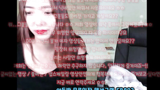 잠지, 햄스터, 사촌, ddb, 쓰리노, 스트림, 한국, 야동, 텔레그램, SB892, 페북스타, 뉴토끼, 꽐라, 글래머