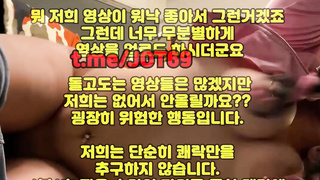 텔레그램, JOT69, 키스방, 노도, 거유녀, 딜도, 삽입, 도우미, 혼혈, 백합, 클리토리스, 에세머, 한국, 야동