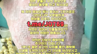 네토커플, 아가씨, 엉싸, 체위, 커플영상, 한국, 야동, 텔레그램, JOT69, 슬레이브, 후까시, 거유녀, 가터벨트, 침대