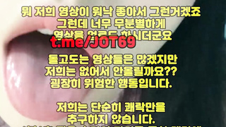네토커플, 아가씨, 엉싸, 체위, 커플영상, 한국, 야동, 텔레그램, JOT69, 슬레이브, 후까시, 거유녀, 가터벨트, 침대