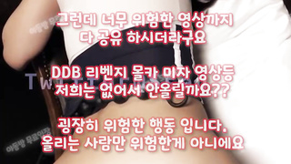 텔레그램, SB892, 그라비아, 돌핀팬츠, 투어, yadongbang, 거유녀, 체쿵, 오일, 빨대, 붕가붕가, 전여친, 한국, 야동