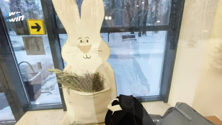 Русское Порно С Разговорами Горячим Сексом и Интересным Сюжетом