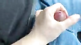 Patriciabueto having sex in my car with a stranger