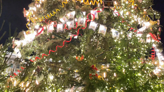 I desired of becoming Santa's secretary, but was romped instantly