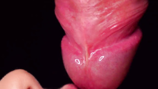CLOSE UP: HOTTEST Tugging Hatch for your TROUSER SNAKE! Deepthroating Boner ASMR, Tongue and Lips BLOW-JOB