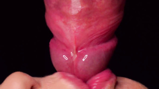 CLOSE UP: HOTTEST Tugging Hatch for your TROUSER SNAKE! Deepthroating Boner ASMR, Tongue and Lips BLOW-JOB